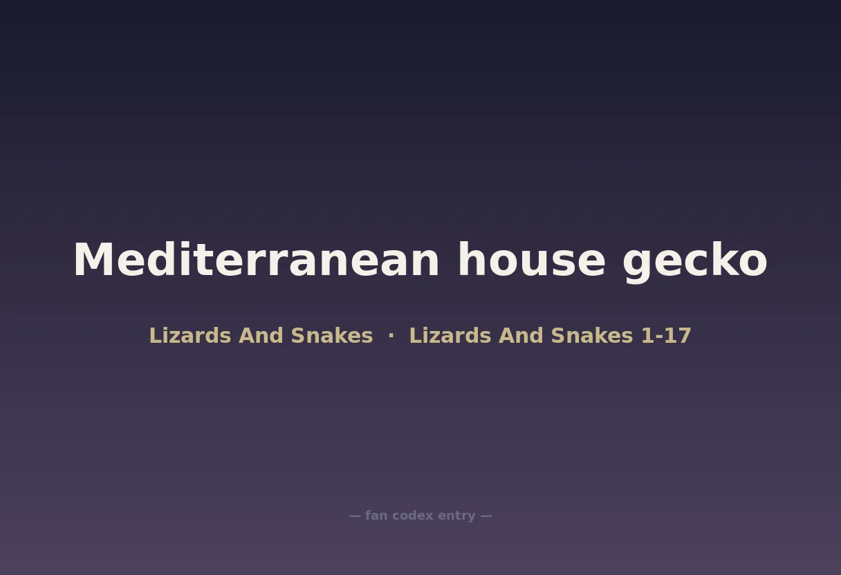 Mediterranean house gecko